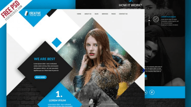 Multipurpose Portfolio