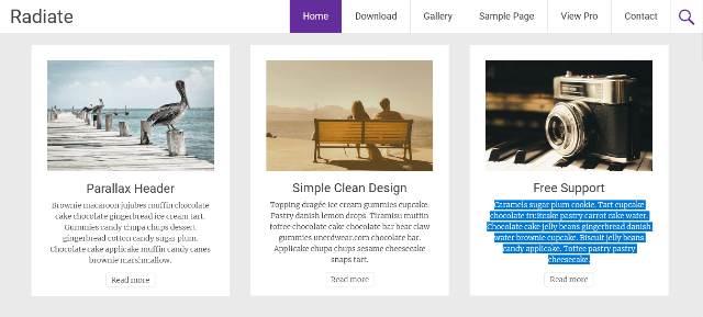 Radiate: A Free Website Template