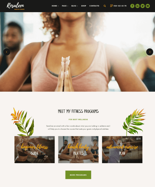 Rosaleen a diet nutrition WordPress theme 