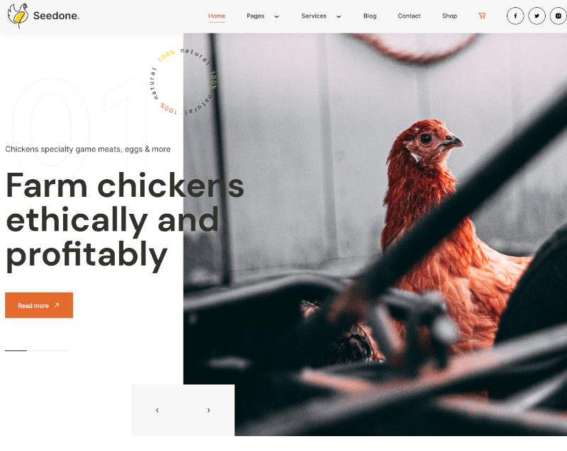 poultry website template