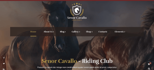 Senor Cavallo: Web Design for Riding Schools