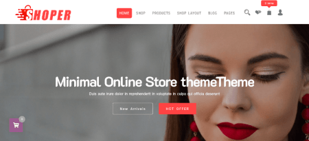 fashion store wordpress theme