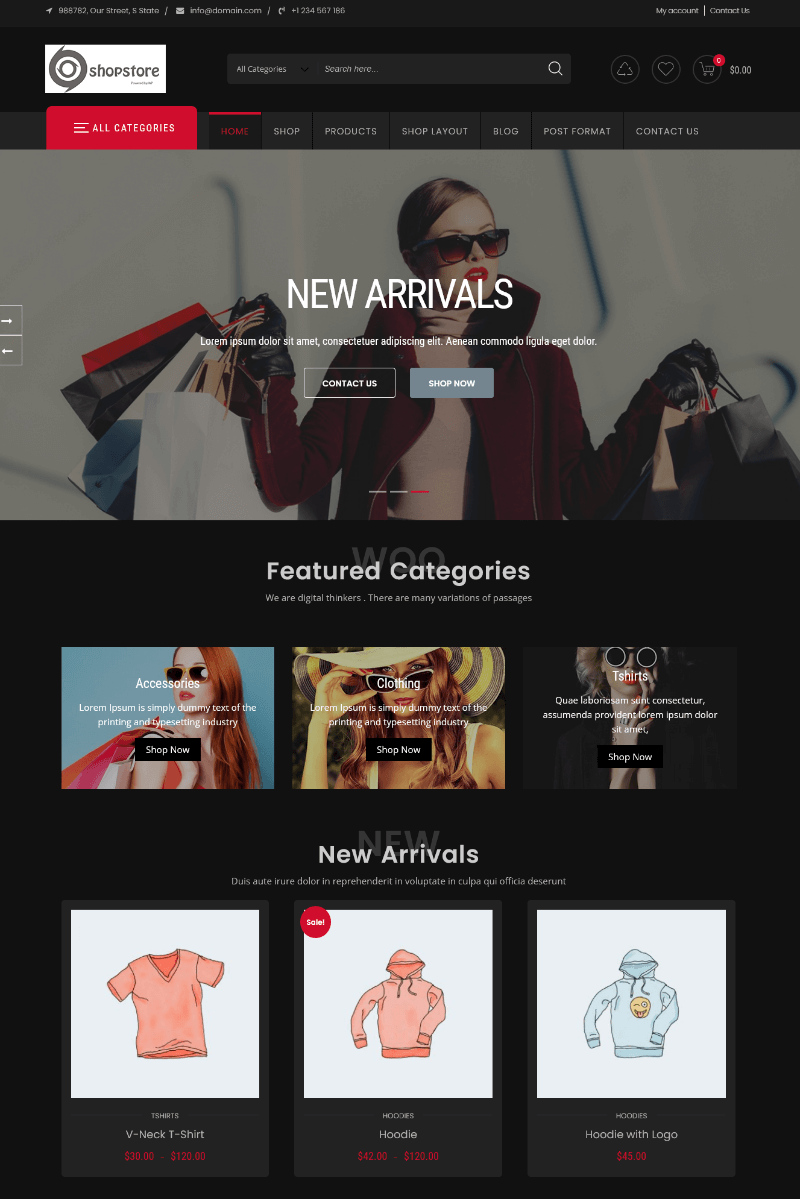ShopStore: a Sleek WordPress Template