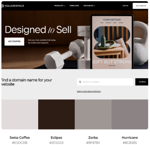Squarespace For Web Design Color Combination Idea