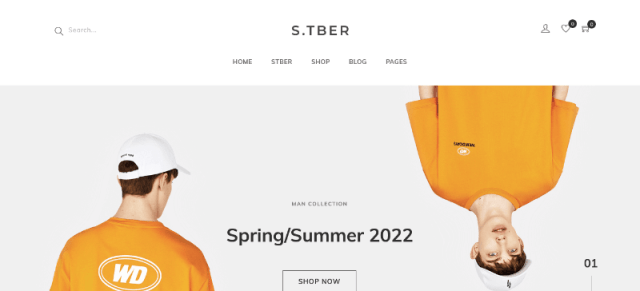 Stber: A Clean and Modern WordPress Theme