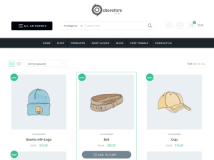 20+ Most expensive WordPress eCommerce themes free download