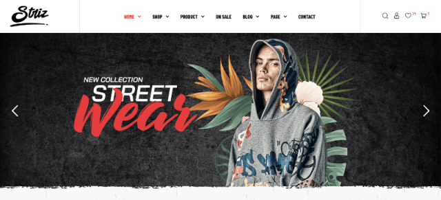 Striz: Lookbook Web Design Template