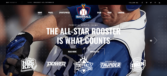 TopScorer, an Optimal WordPress Baseball Theme