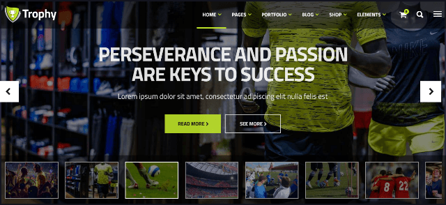 Trophy: a Sophisticated Website Template