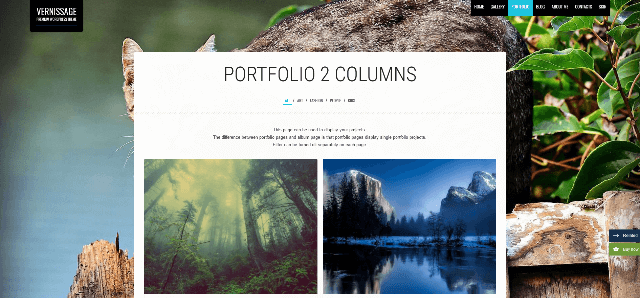 Vernissage: A Template for Showcasing Images