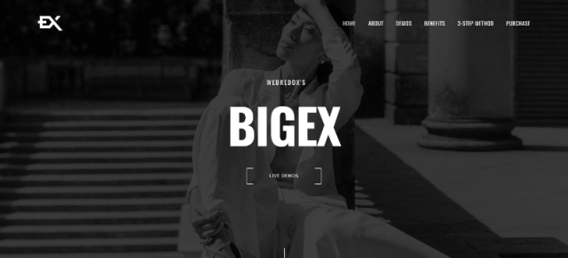Bigex