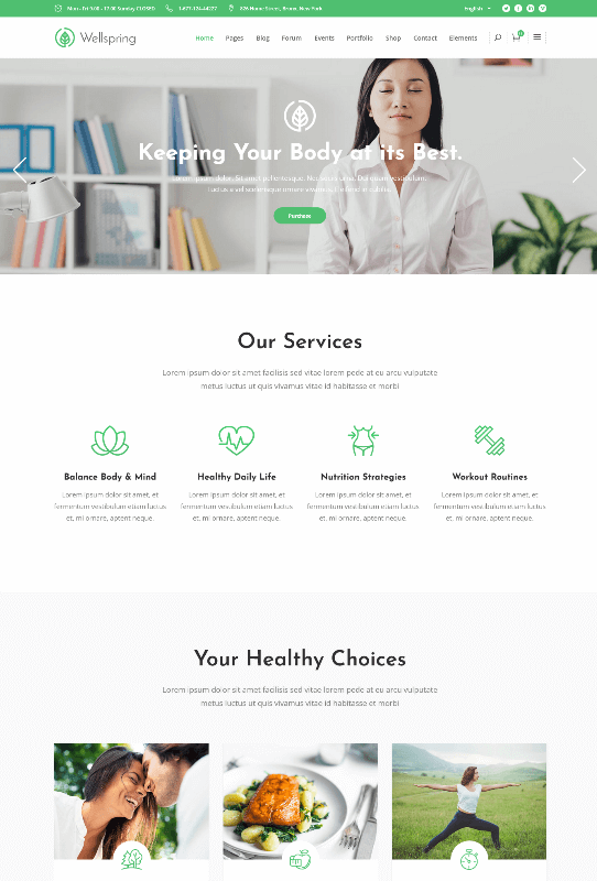 Wellspring a dietitian WordPress theme