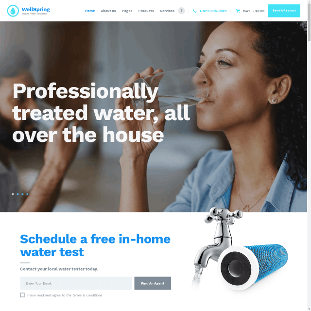 WellSpring