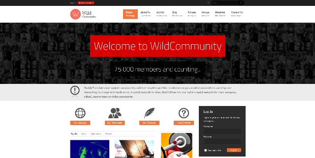 WildCommunity: A Coding-Less Internal Communication WordPress Template