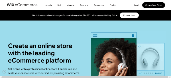 what is Wix eCommerce business 
