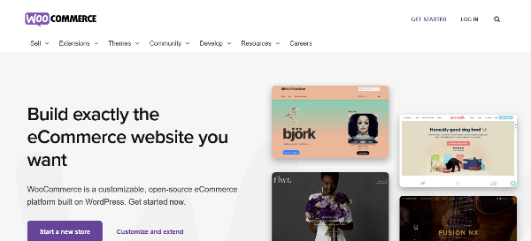 what is WooCommerce e_commerce