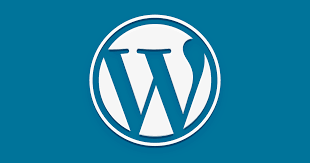 Before You Change WordPress Theme