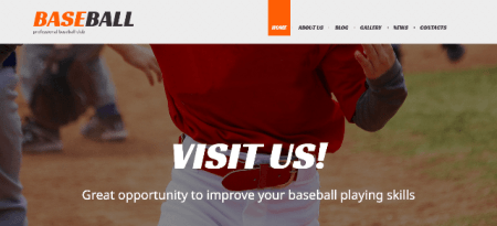 Baseball WordPress Themes